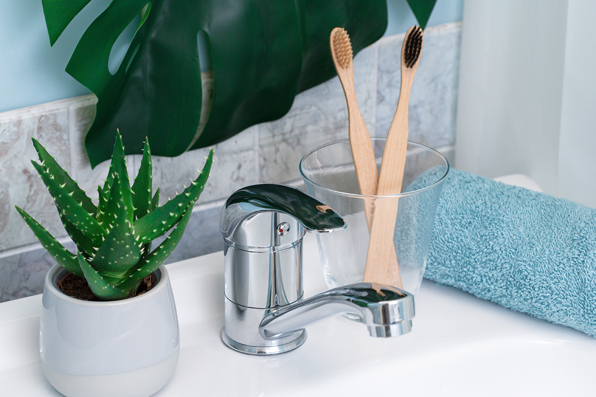 Zero waste bathroom. Eco natural bamboo toothbrushes, blue towel and succulent on the on the sink. Green palm leaf on the background.