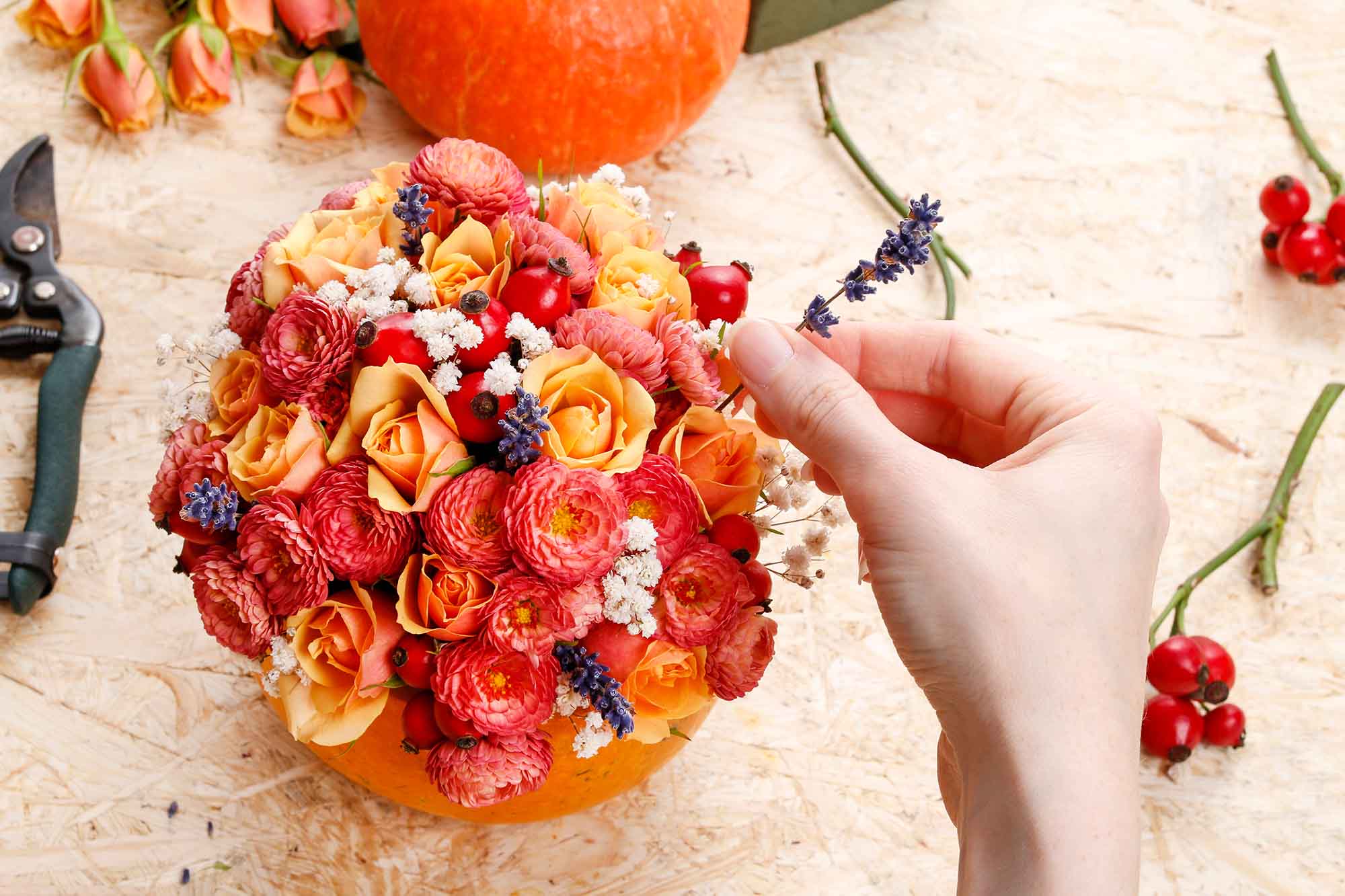 How to make a Thanksgiving centerpiece - step by step: pumpkin, flowers and other objects necessary to make a bouquet in pumpkin